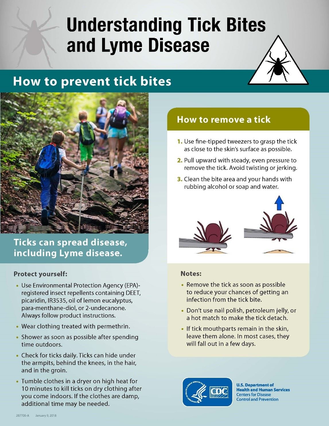 Understanding Tick Bites and Lyme Disease