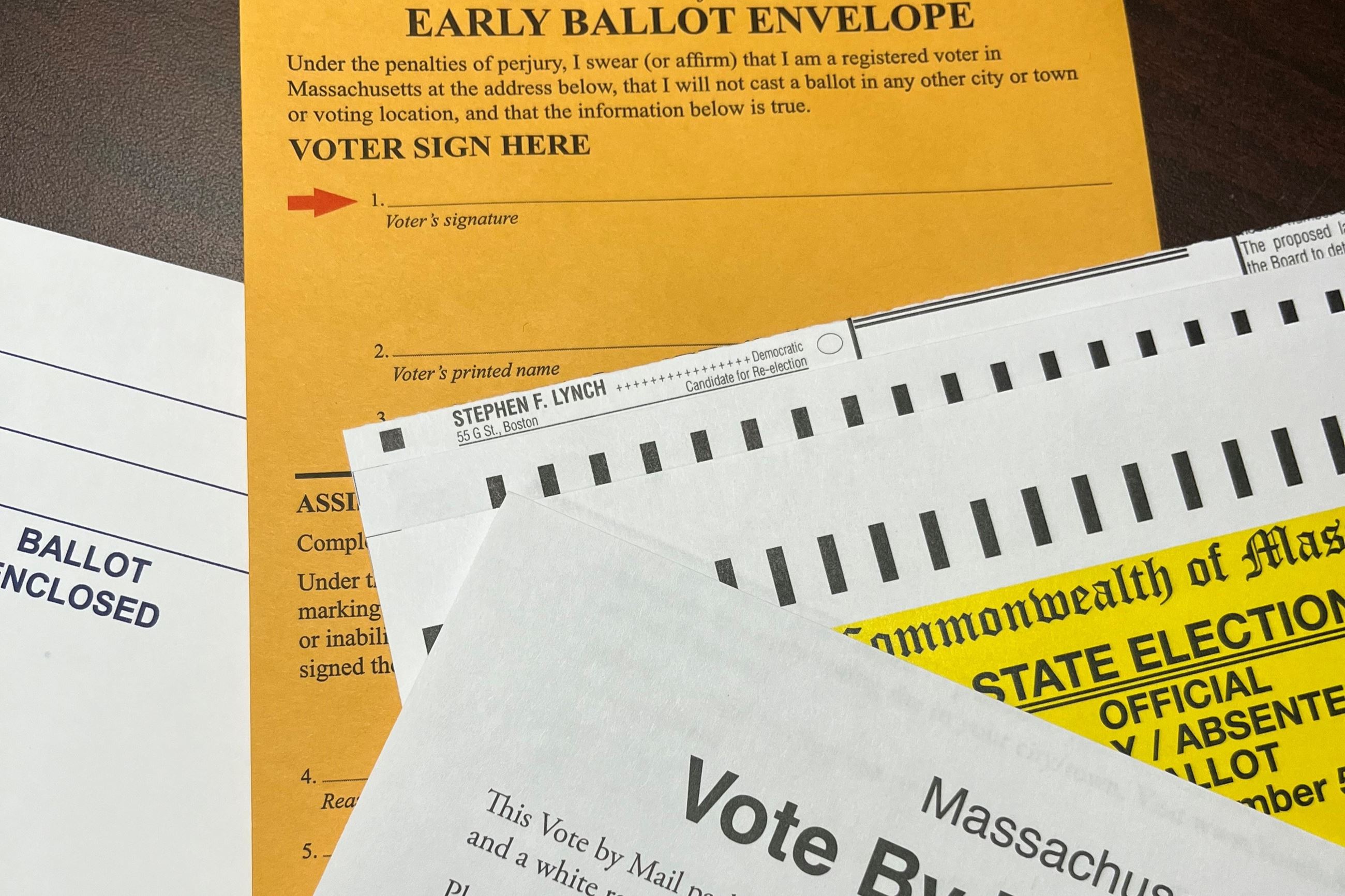 Sample ballots and return mail envelope