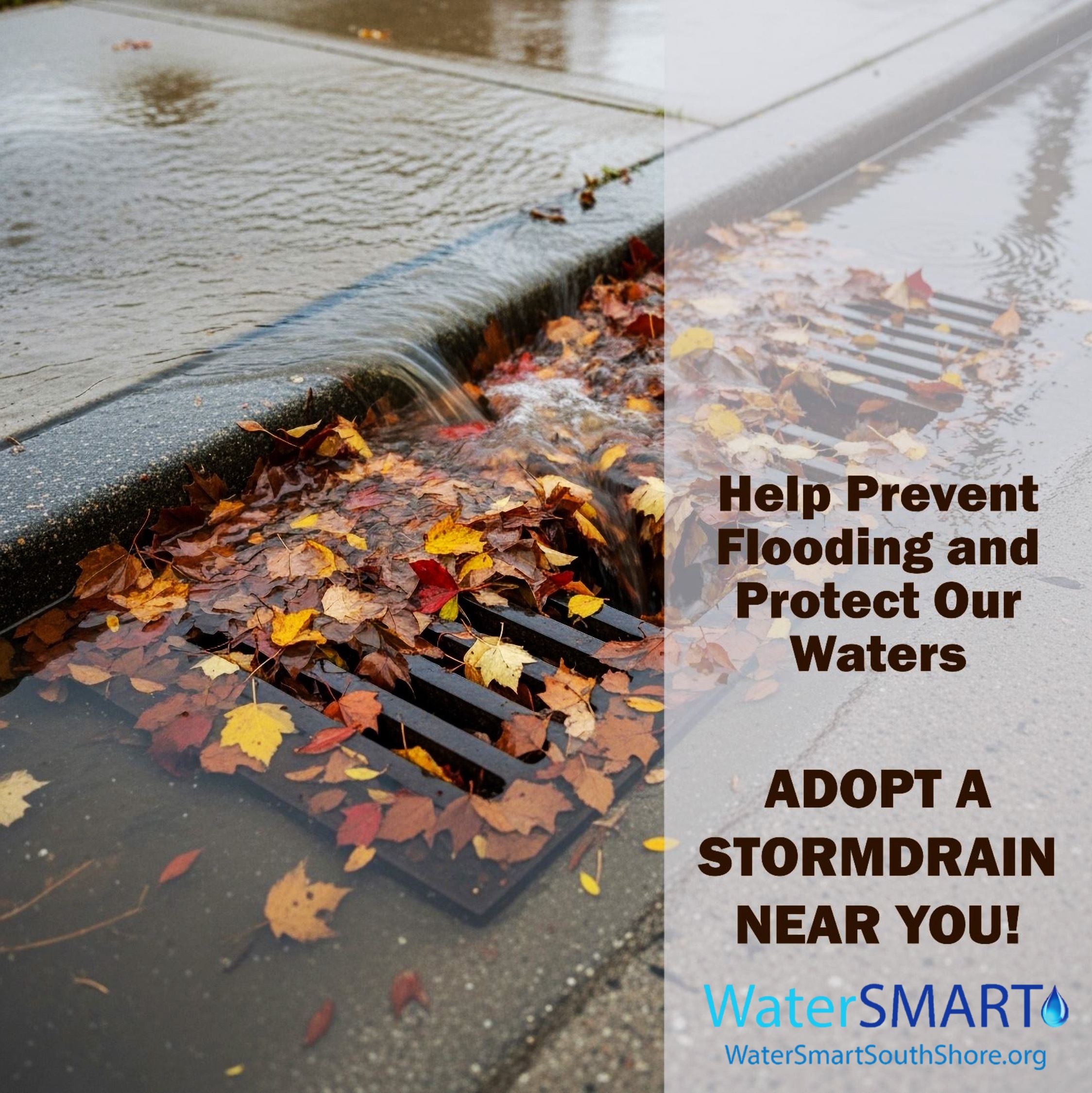 Adopt a Stormdrain 2025