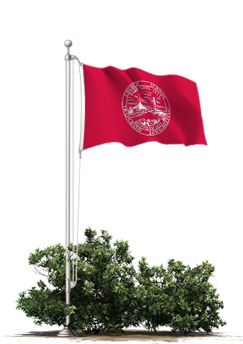 Hingham Flag Full Staff